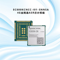 EC800KCNCC-I01-SNNSA移远EC800K物联网4G全网通CAT1模块ASR芯片